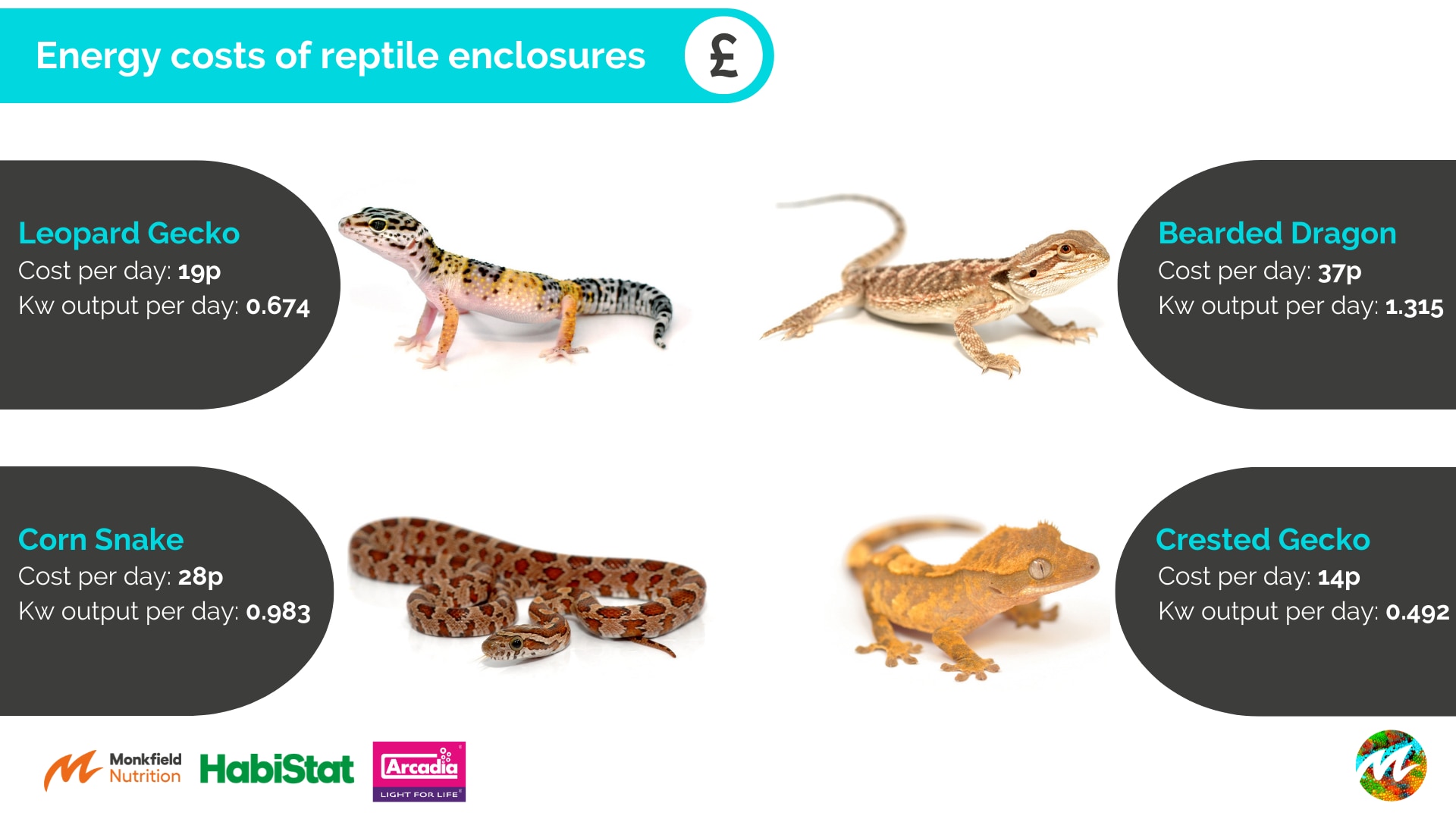 The Energy Costs of Running Reptile Enclosures